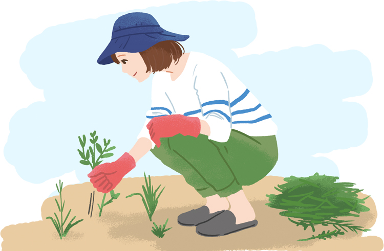 あまり聞かないイネ科花粉症 種類や特徴 症状などを知って対策につなげよう