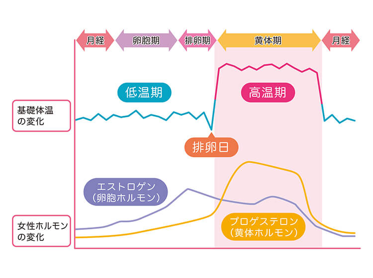 生理前の肌荒れ あきらめないで 生理周期 に合わせたケアで 肌トラブルを防ごう
