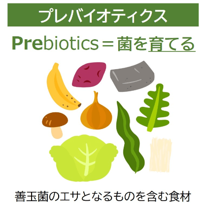 乳酸菌など、免疫の維持に役立つ菌を効果的に摂るには？乳酸菌など、免疫の維持に役立つ菌を効果的に摂るには？