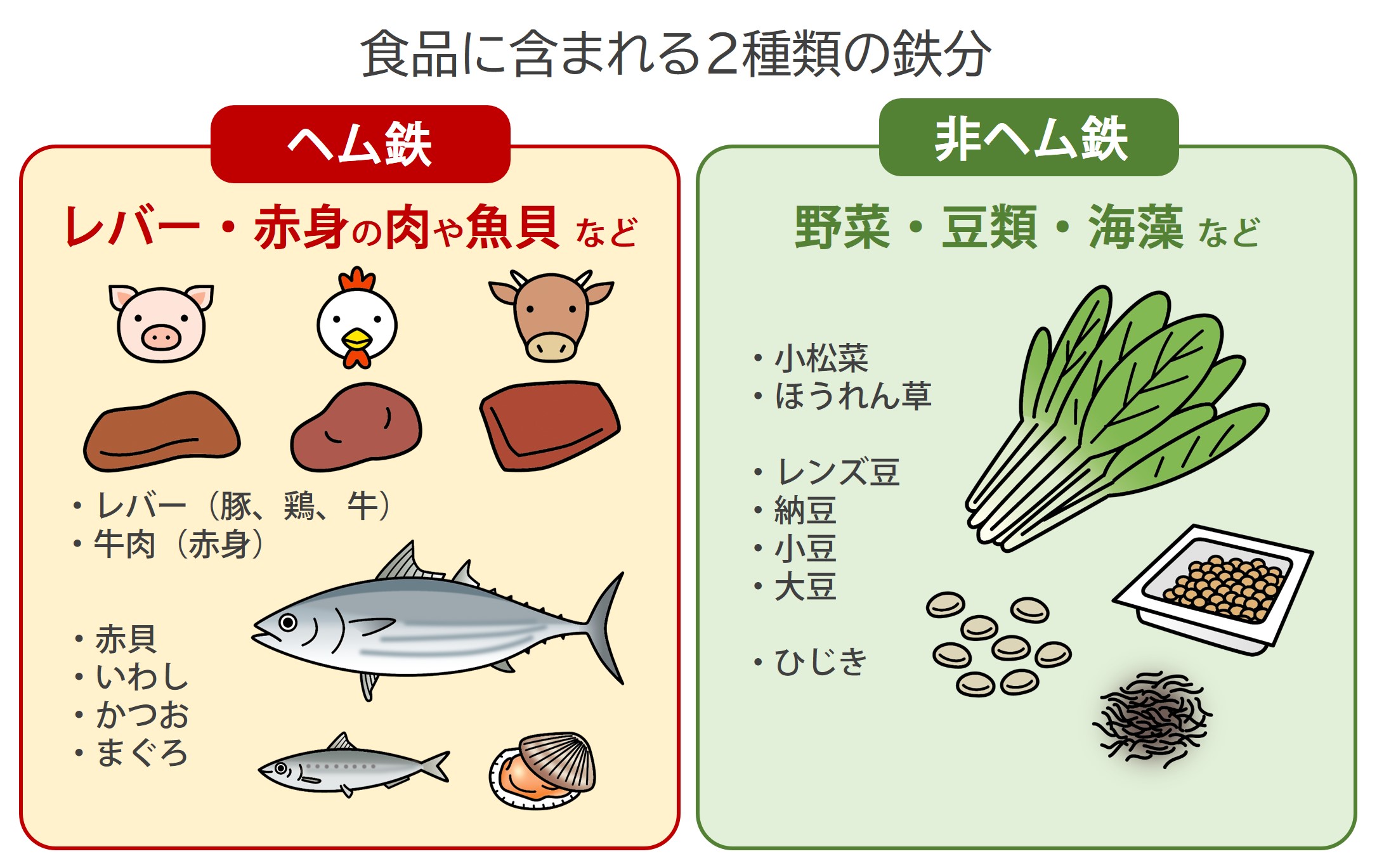 貧血を伴わない鉄欠乏症はどのように治療されますか?