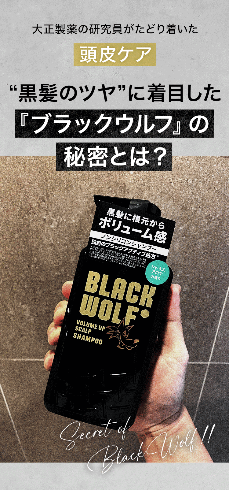 シックスブラックウルフ二個セット シックスブラックウルフ二個セット シックスブラックウルフ二個セット