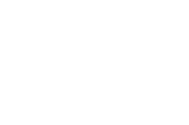 BLACK WOLF