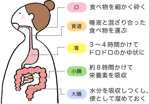 虫歯はどのように治療されるのですか?