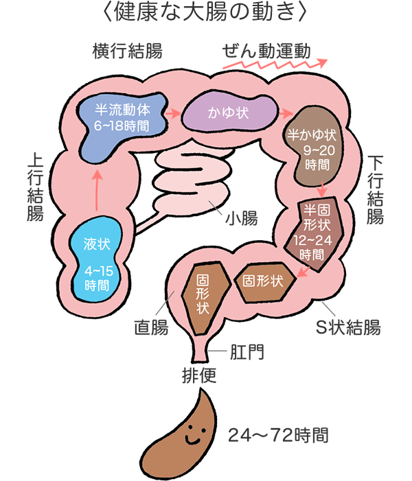 便秘 どこに溜まってる？