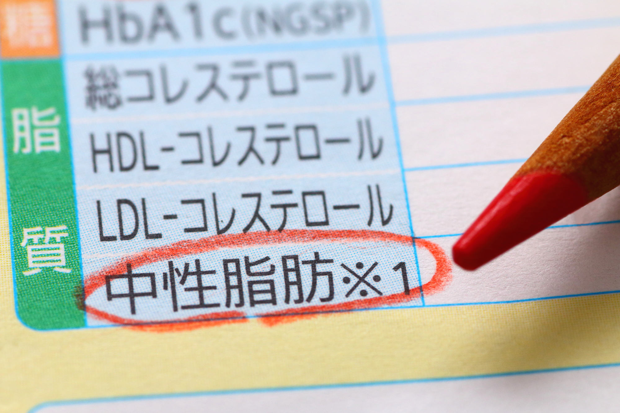 中性脂肪とは？ 体の中での働きや基準値を知っておこう